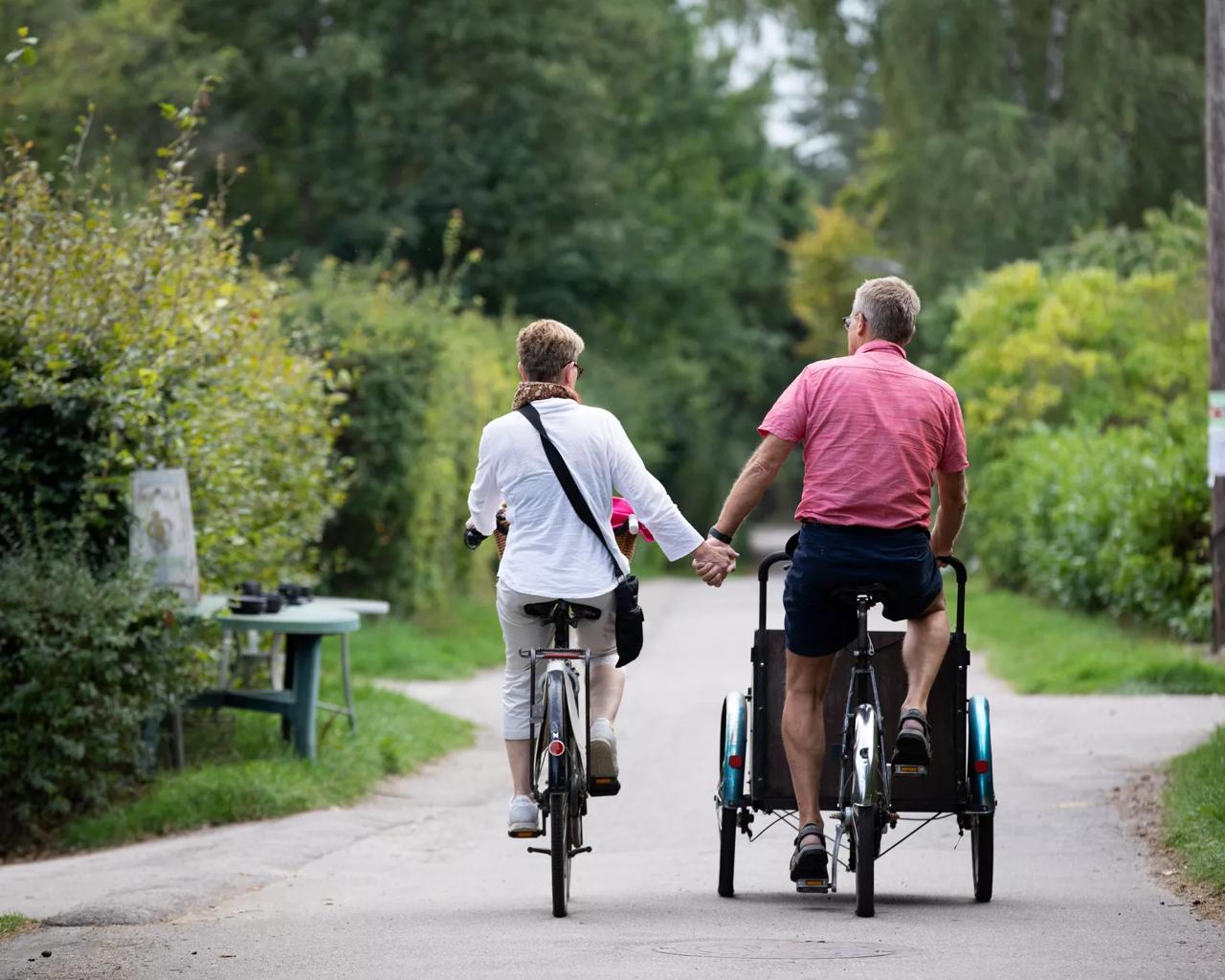 Et par på cykel med hinanden i hånden ses bagfra