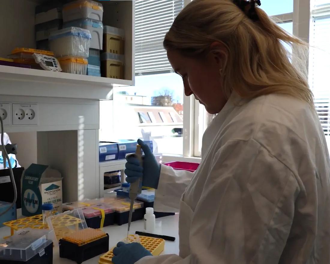 "Danmarks første forskningscenter for epigenetisk cellehukommelse"