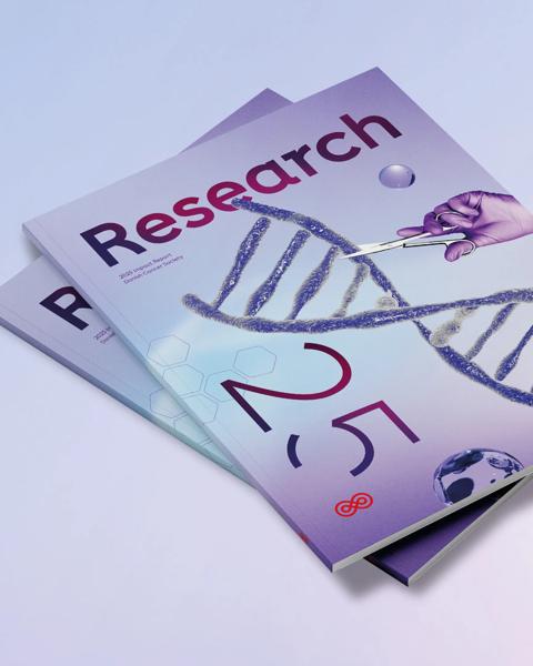 DCI Research Report 2025