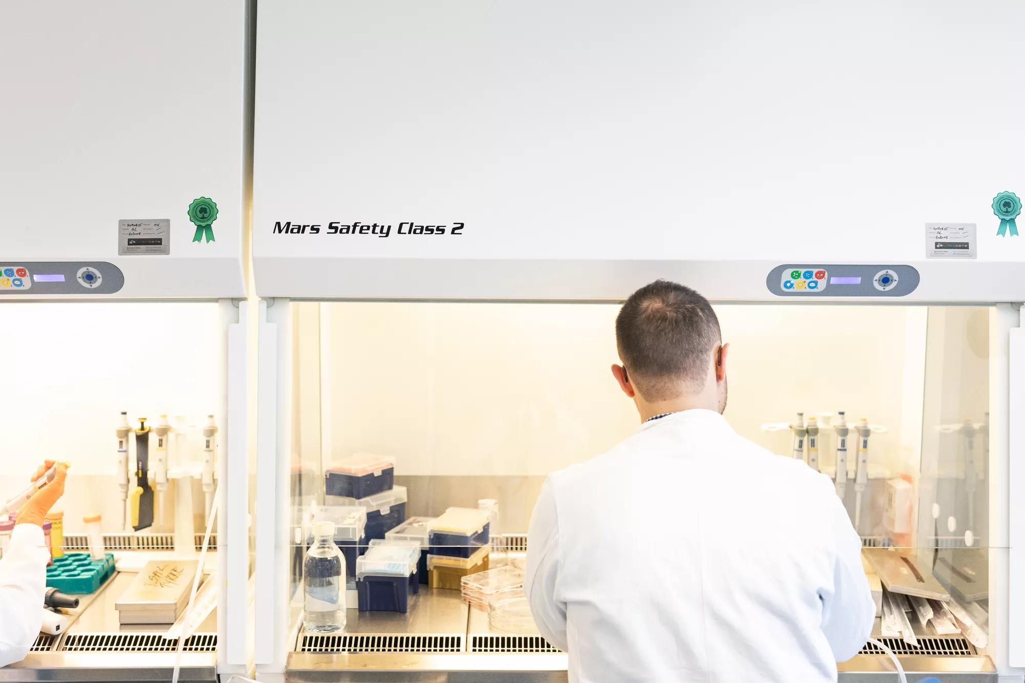 Forskning om celler i dvale giver ny vigtig viden om kræft