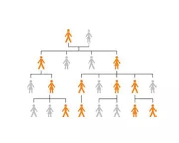 Grafisk illustration af hvordan  mutationen nedarves i en familie