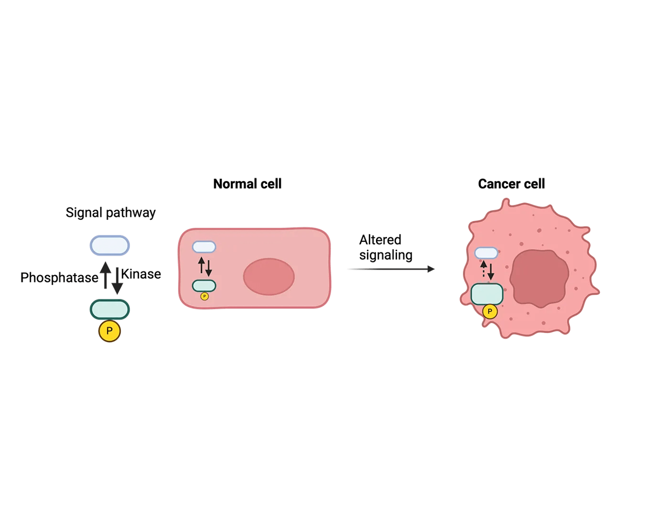 Illustration of work from the lab