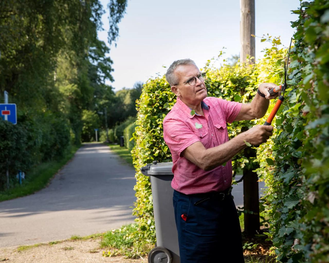 Mand klipper hæk