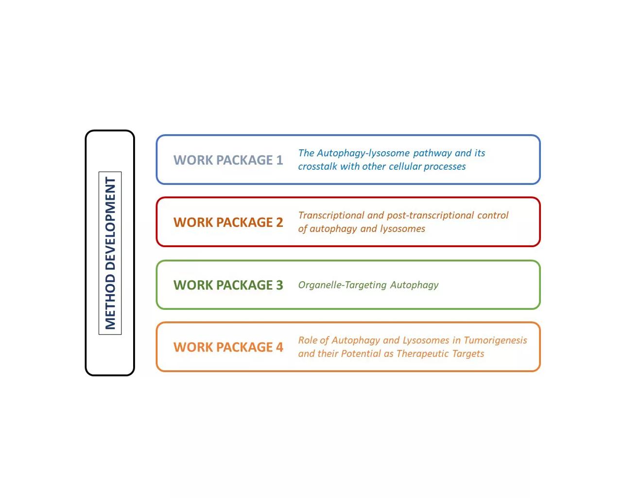 CARD 1st term workpackages