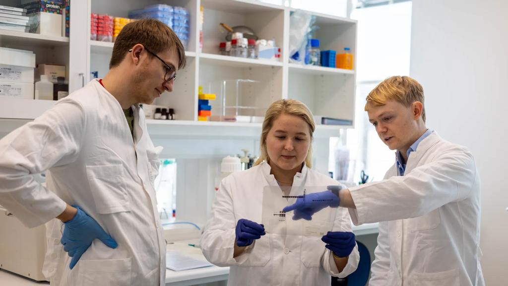 Three researchers from EpiC discussing the results of a Western Blot experiment