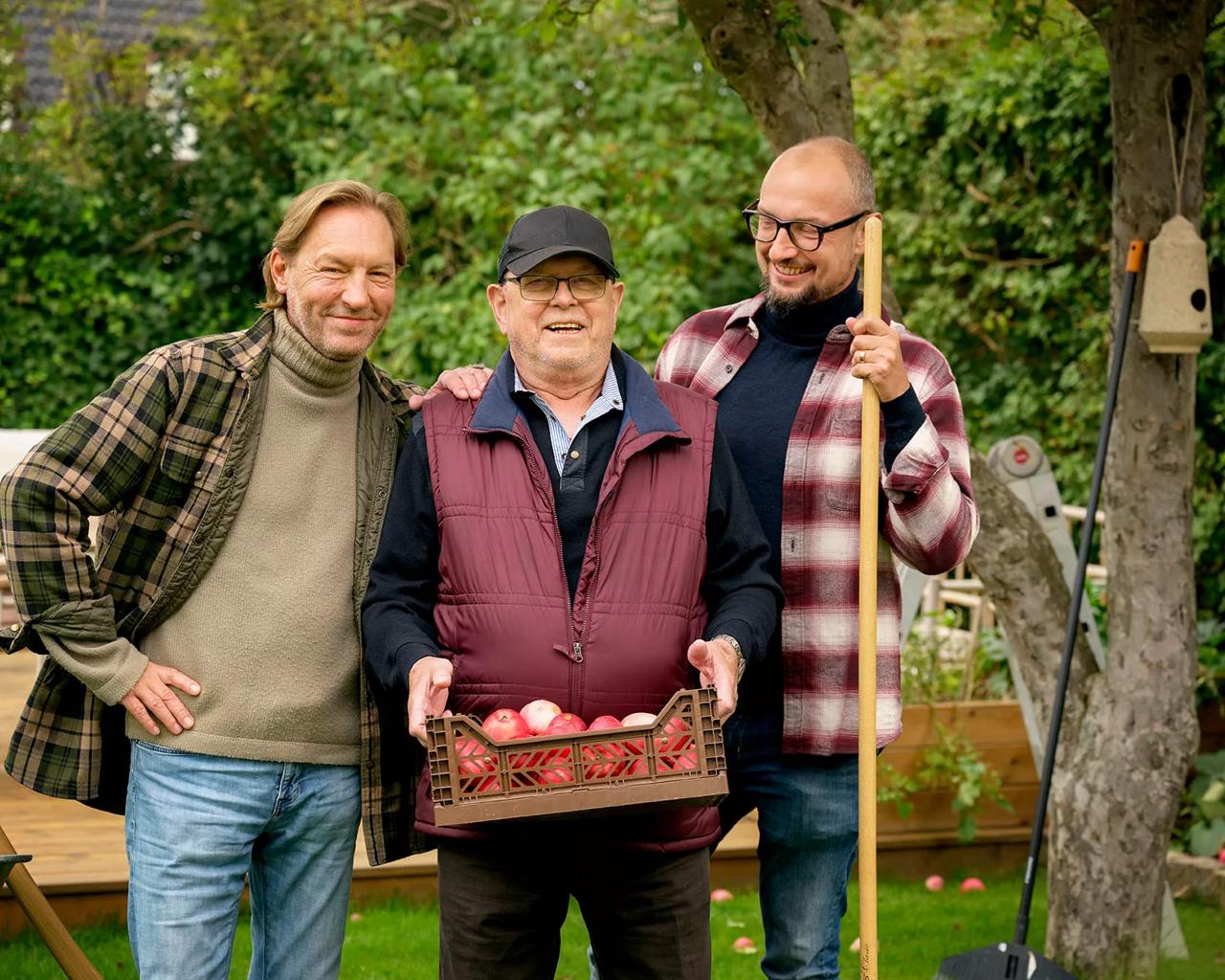Tre mænd i have har plukket æbler - giv et bidrag til kræftsagen og gør en forskel for alle ramt af kræft