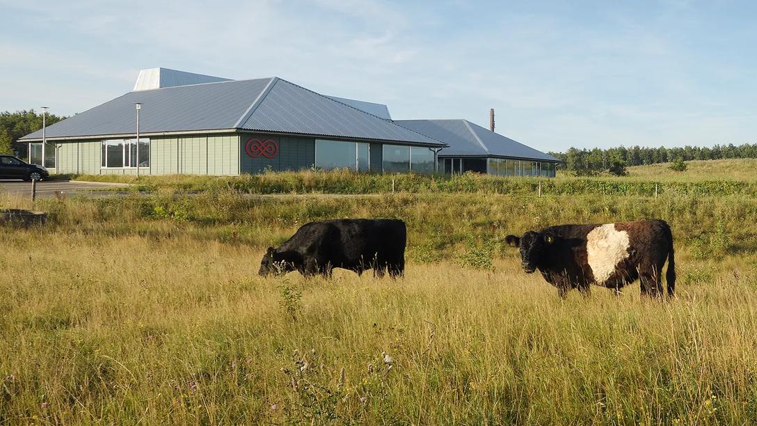 Kræftrådgivningen vinder Aarhus Arkitekturpris for bedste bygning 2024.