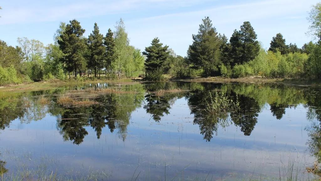 Smuk natur ved Ruskjærholm