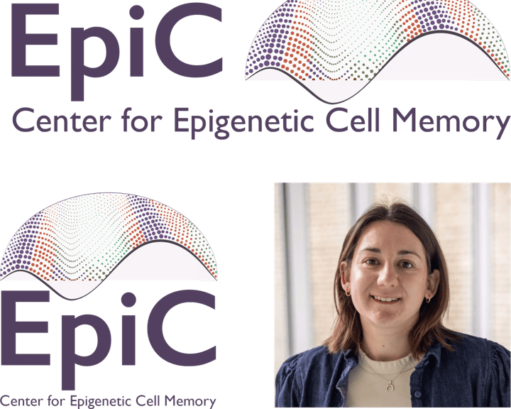 The logo for the Center for Epigenetic Cell Memory (EpiC) designed by Juliette Ferrand. It shows an elegant wave made of coloured dots over ‘EpiC’ - evoking the dynamic nature of epigenetic landscapes and their change across cell divisions & lifespan. A picture of Juliette smiling is shown alongside the designs.