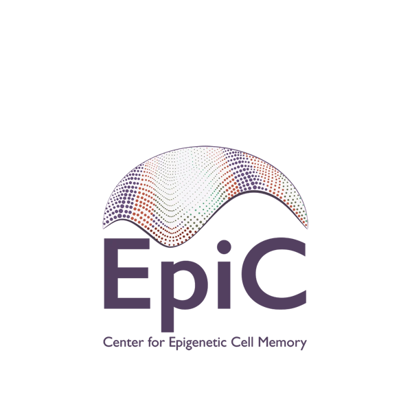 The logo for the Center for Epigenetic Cell Memory (EpiC) designed by Juliette Ferrand