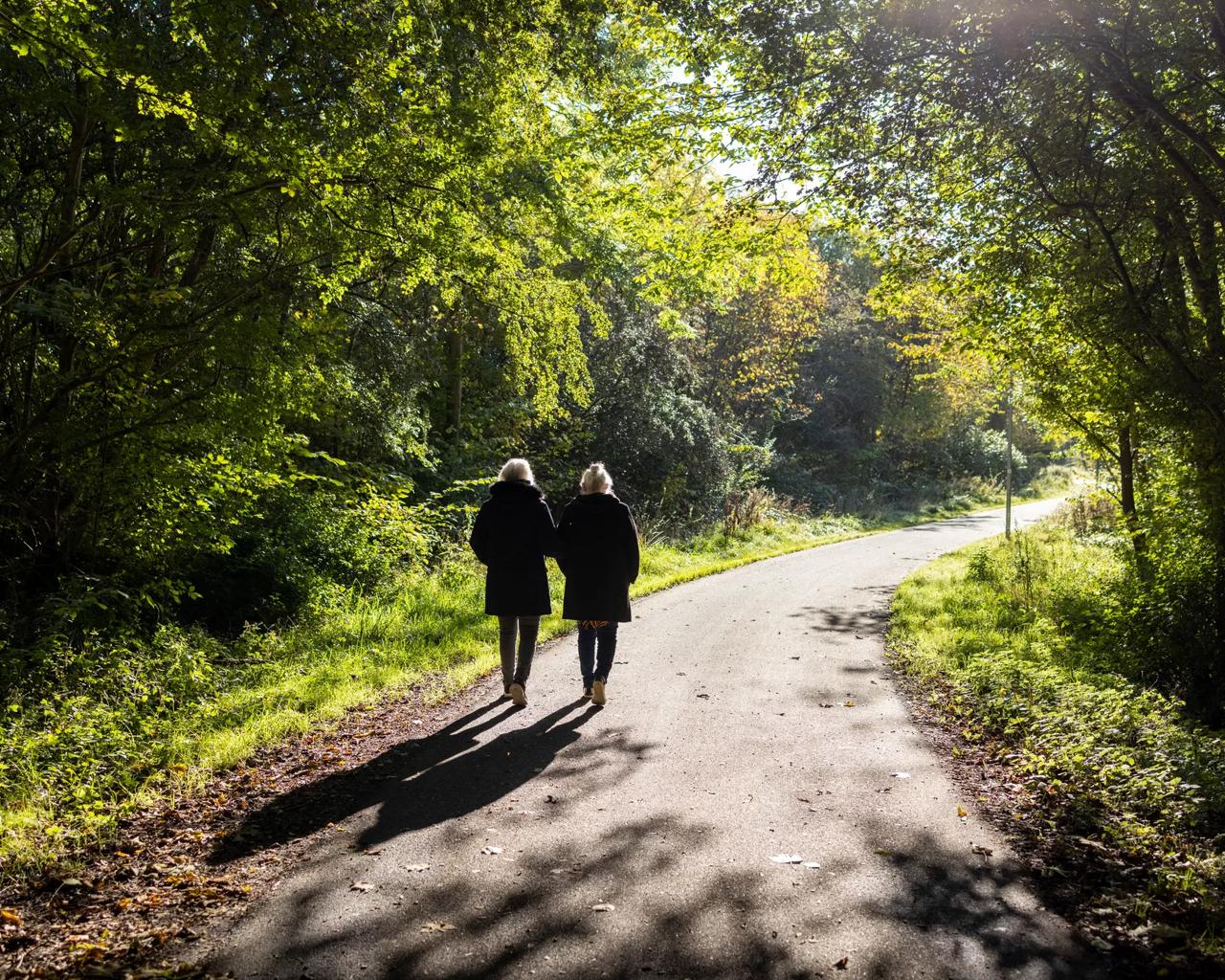 Par går tur i skoven